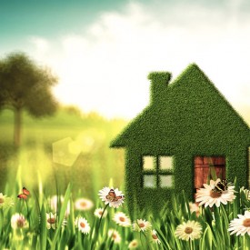 Green Houses