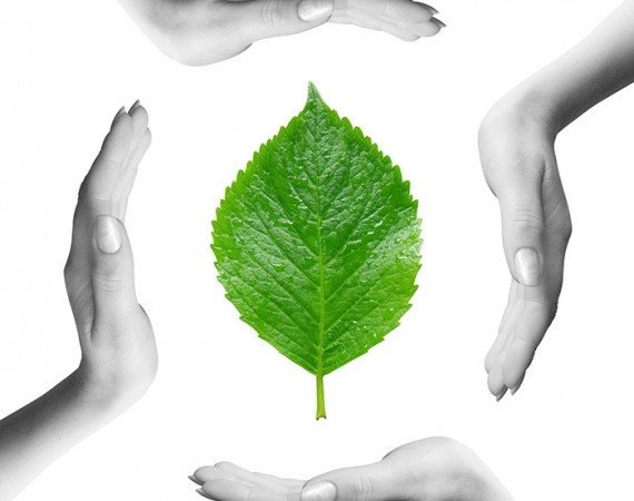 Green Leaf